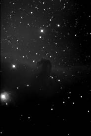 Horse-Head Nebula