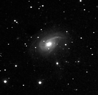 NGC 772 and 2 supernovae (SN 2003hl and SN2003iq)