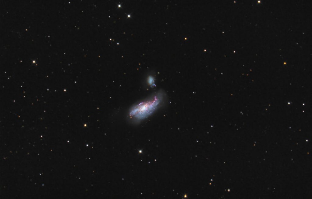 NGC4490